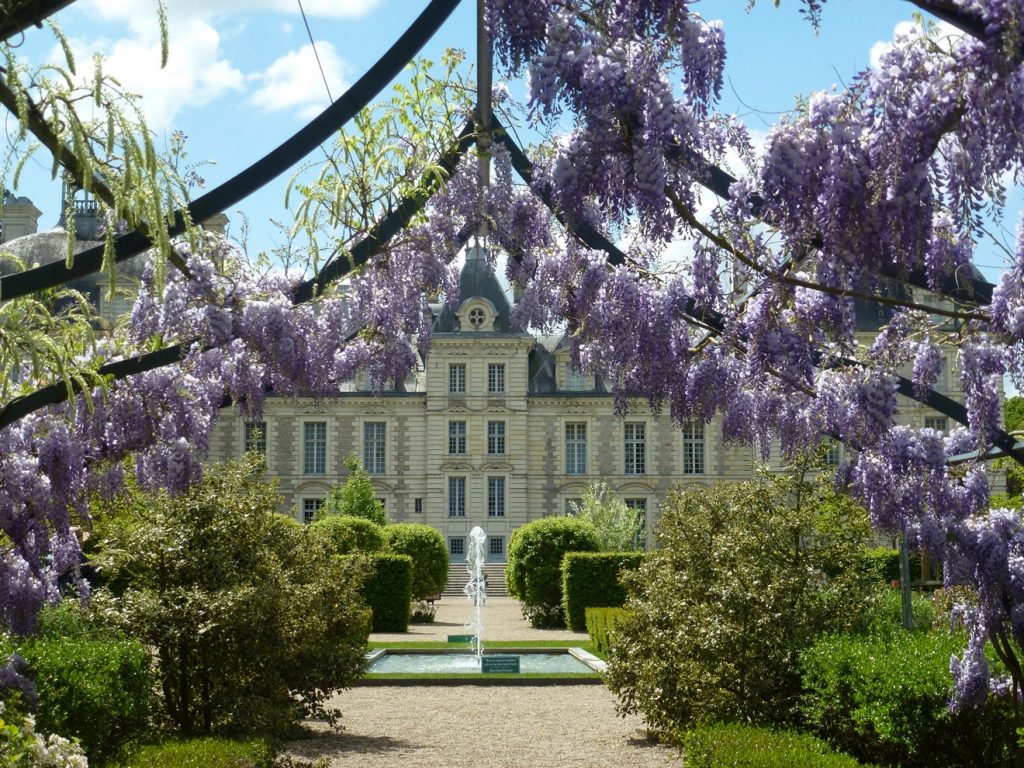 Pergola chateau de cheverny - © C. de Vibraye2000 1320x990