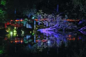 Parc oriental de Maulevrier de nuit - S. Roher (C) - My Loire Valley