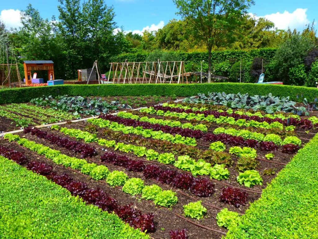 Le potager à Terra botanica par Terra botanica