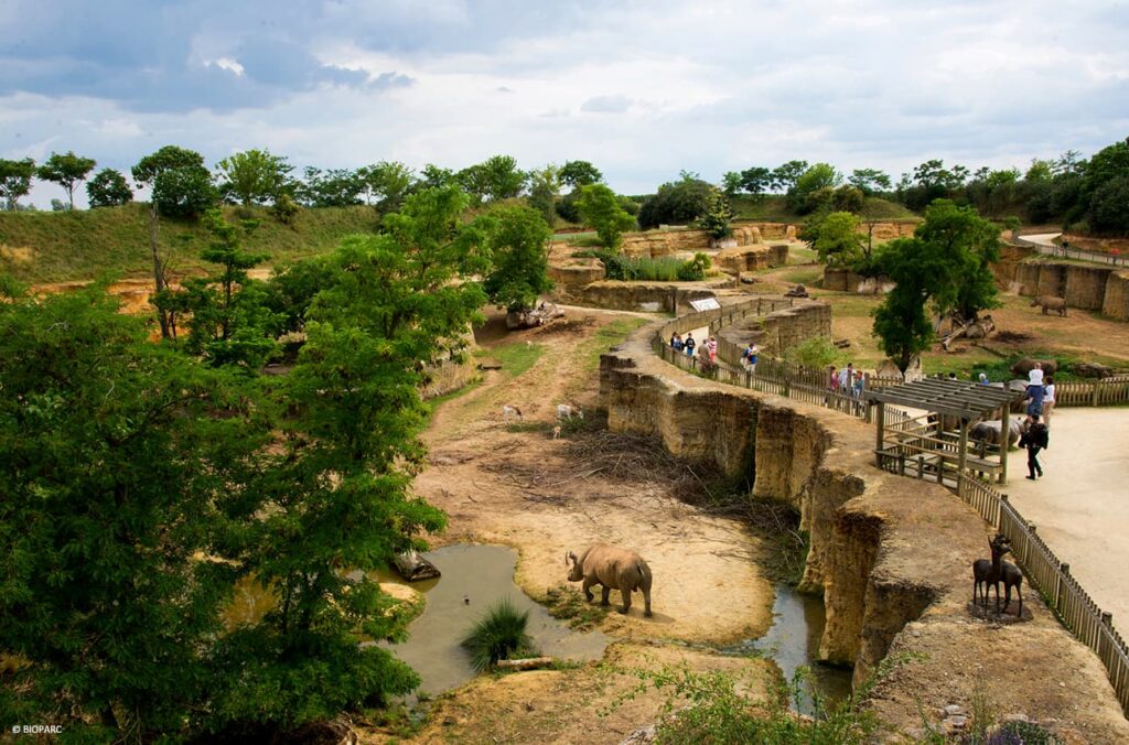 Vallée des rhinoceros © Bioparc