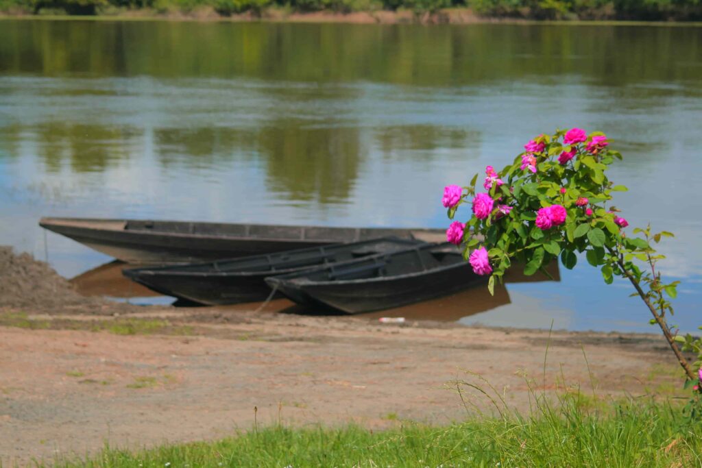 barque-loire-roses-candes-saint-martin©Azay-Chinon Val de Loire Tourisme