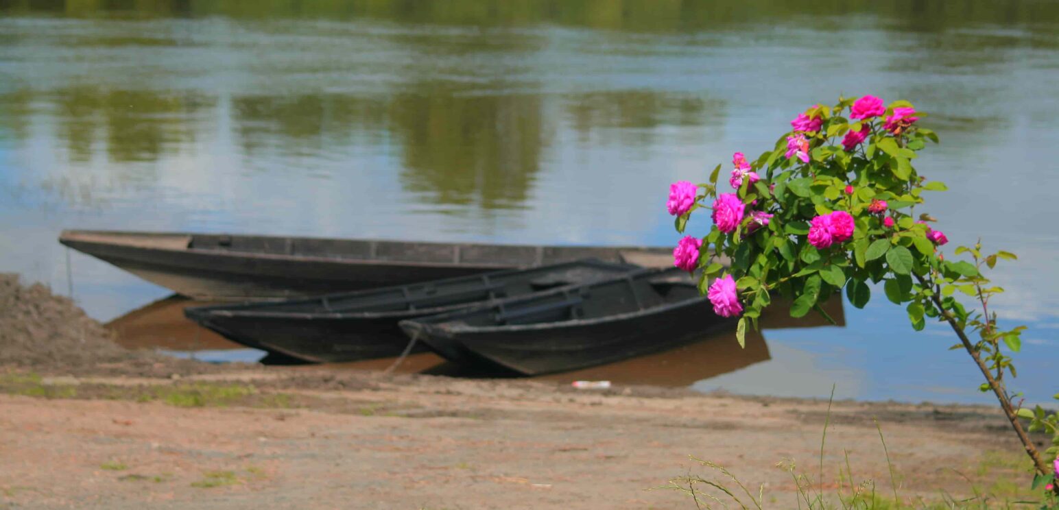 barque-loire-roses-candes-saint-martin©Azay-Chinon Val de Loire Tourisme