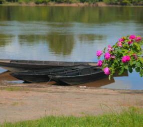 barque-loire-roses-candes-saint-martin©Azay-Chinon Val de Loire Tourisme