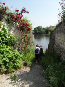 chemin-pédestre-rando-candes-saint-martin©Azay-Chinon-Val-de-Loire-Tourisme