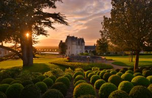 chateau royal d'amboise - jardins