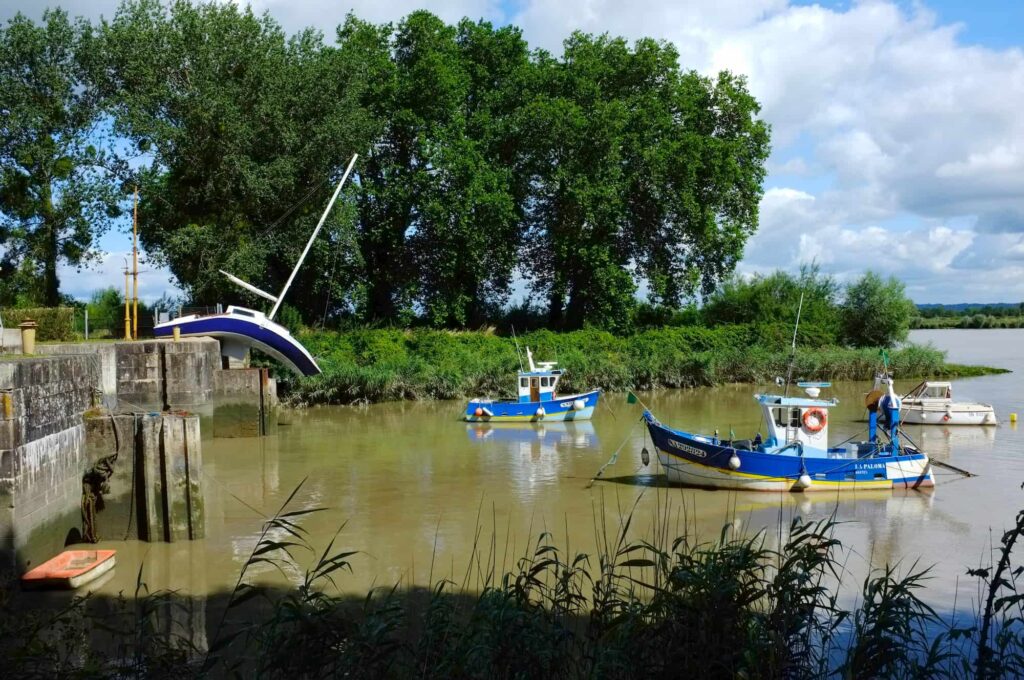 ESTUAIRE 2012 ©Gino Maccarinelli