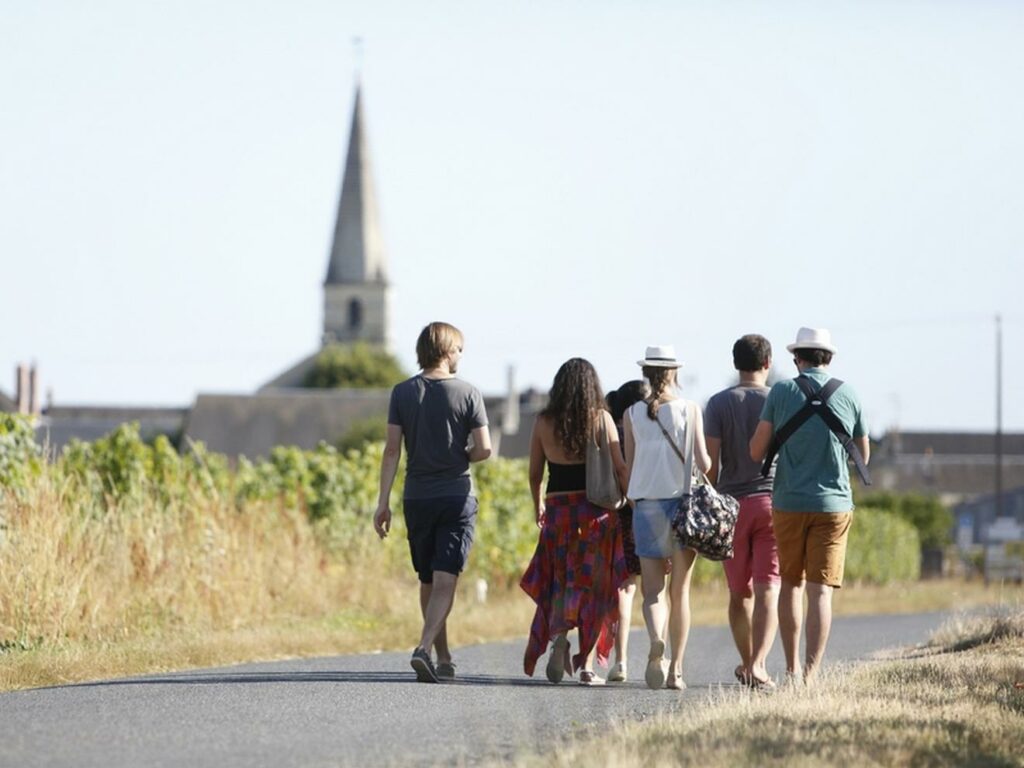 Randonnée - AOC Saint-Nicolas-de-Bourgueil