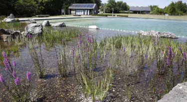 baignade naturelle du grand chambord ©