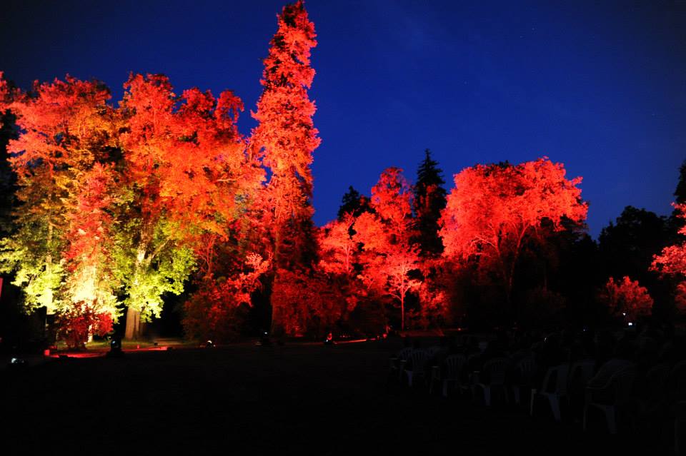 Les Grandes Nuits de l'Arboretum - Arboretum des Barres