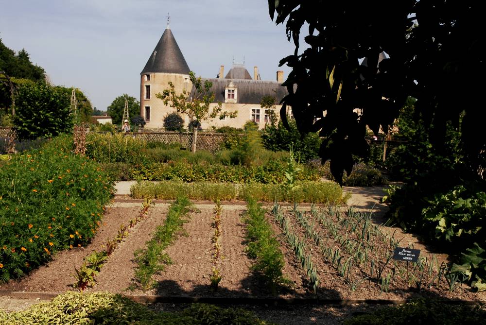 Potager - Château de Chamerolles