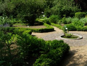Dimanche Vert au Jardin des plantes médicinales - Jardin botanique de Tours