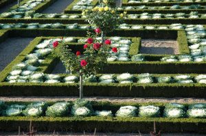 Potager - Chateau et jardins de Villandry