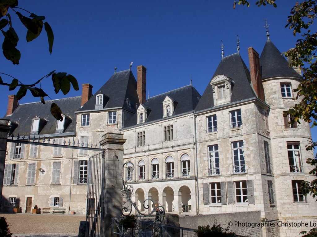 Chateau de Saint Brisson