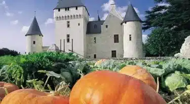 chateu du rivau