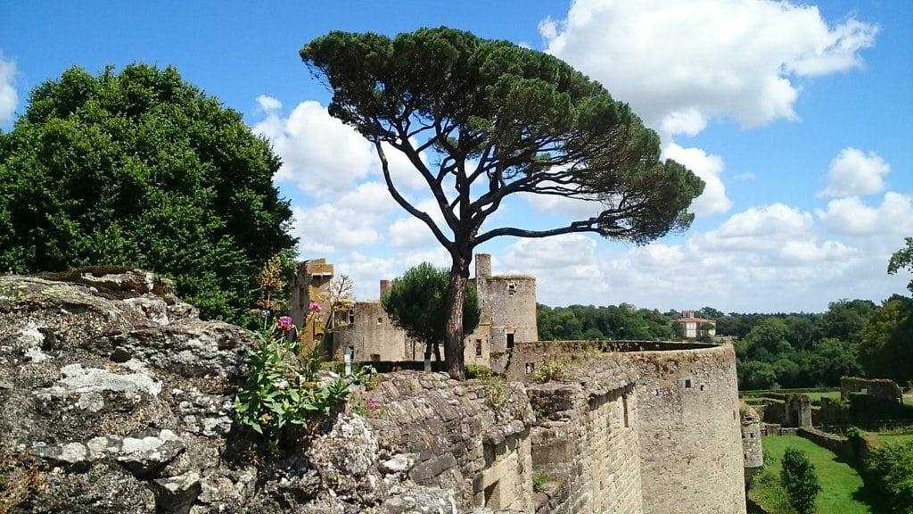 Château de Clisson