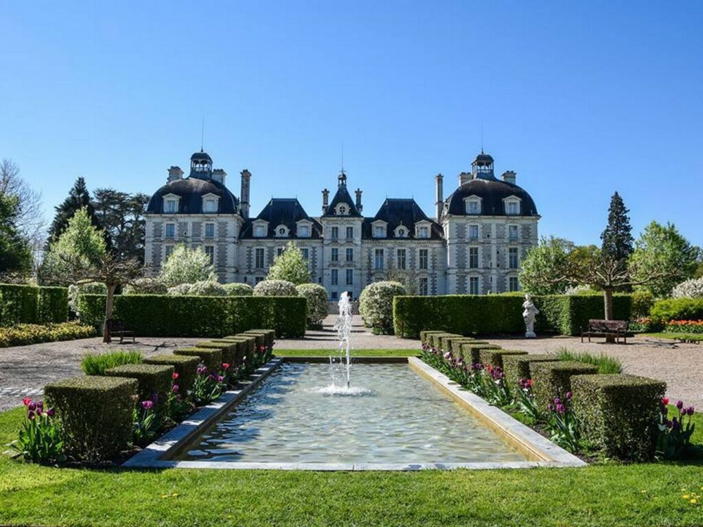 chateau de cheverny - tulipes