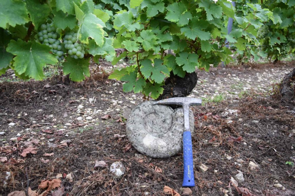 sancerre jurassic tour