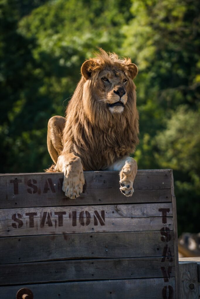 Planète Sauvage, Parc Animalier à Nantes