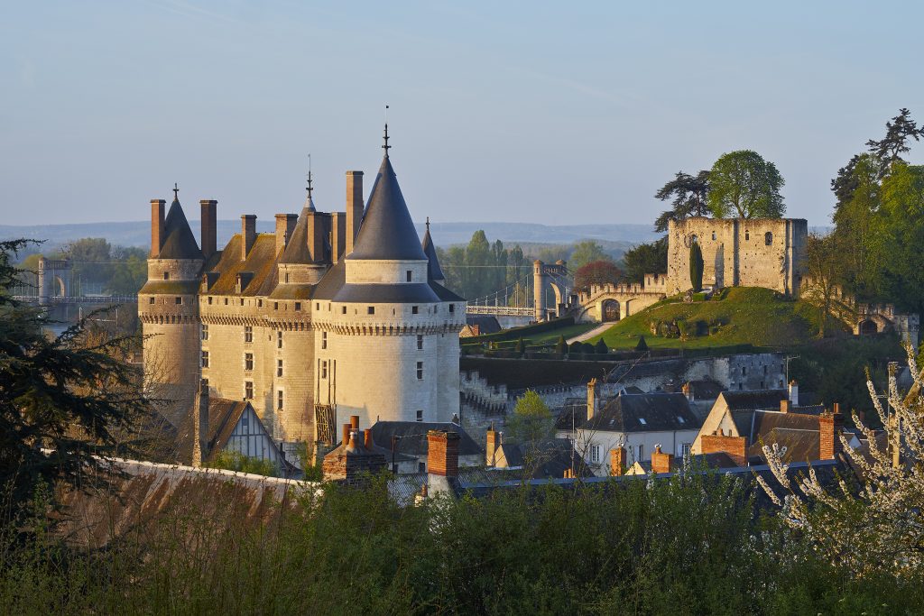 Château de Langeais Vue générale