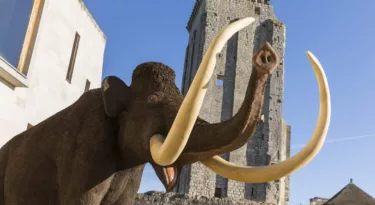 idée sortie vacances activités Musée Grand Pressigny préhistoire