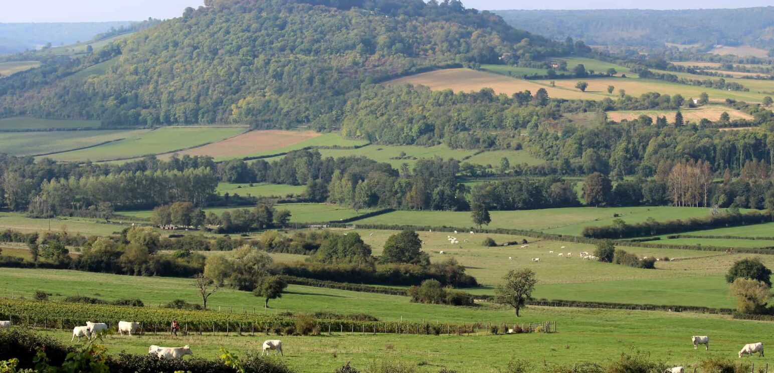 La Colline de Vézelay, côté Morvan