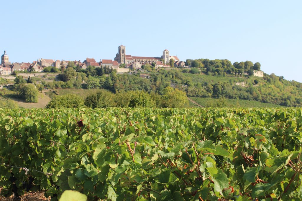 La Colline de Vézelay et ses vignobles