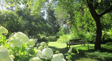 Arboretum Hortensia