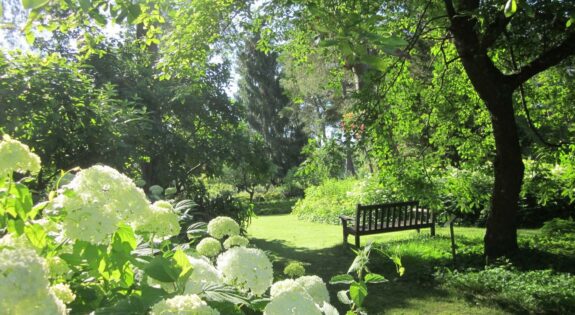 Arboretum Hortensia