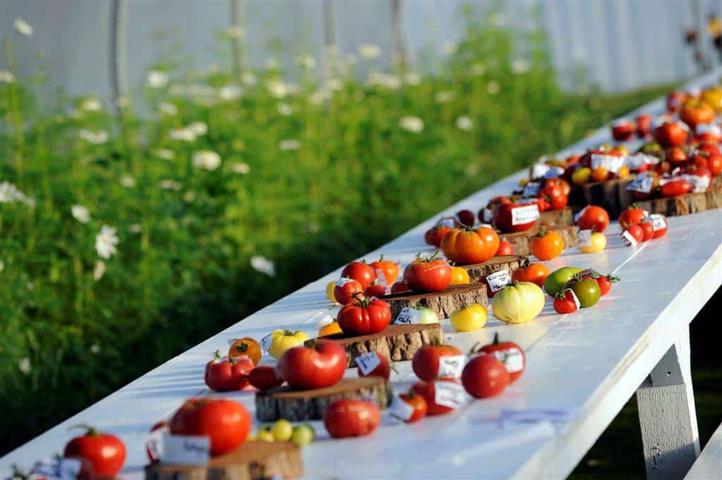 Festival tomates Château de La Bourdaisière