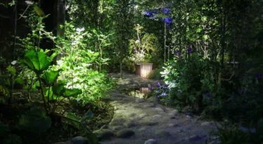 Jardins de Lumière - Vert