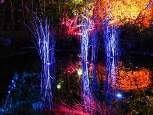 Jardins de Lumière - chaumont-sur-loire