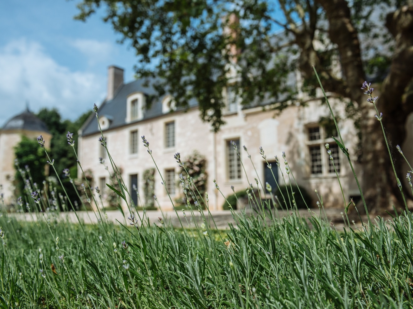 Domaine de Poulaines