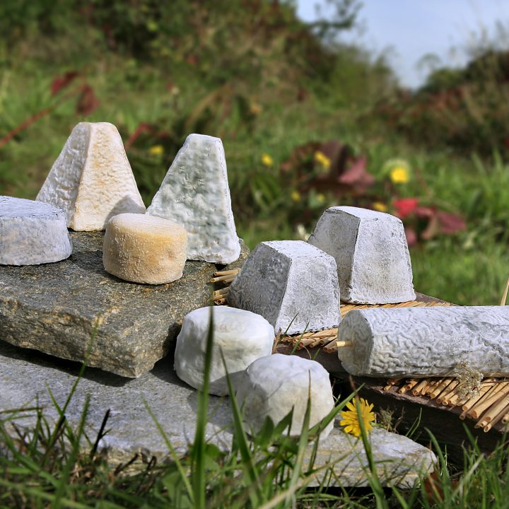 Sainte Maure de Touraine, buche de fromage avec une paille Val de Loire