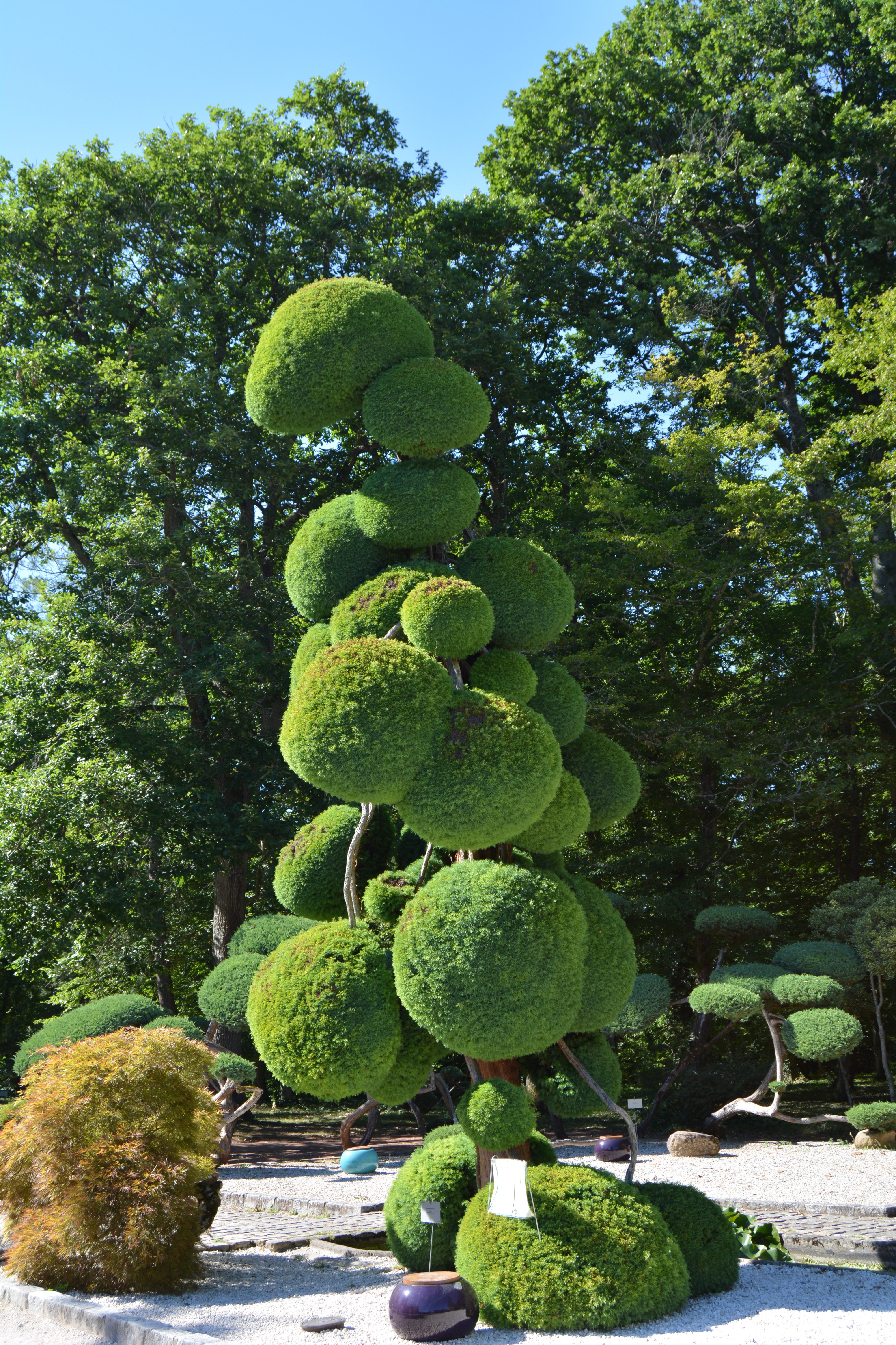 Jardin des formes - parc floral de la source