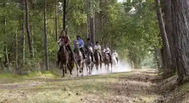 Randonnée equestre en sologne