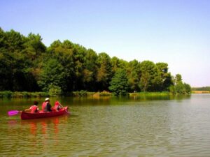 rille-lac-nature-aout