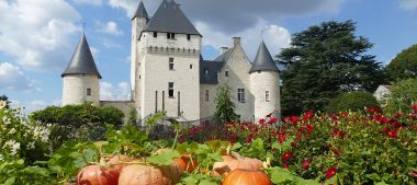 Passez vos vacances de la Toussaint en Val de Loire !