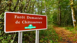 foret-domaniale-chateauroux-c-boussole-voyageuse (2)
