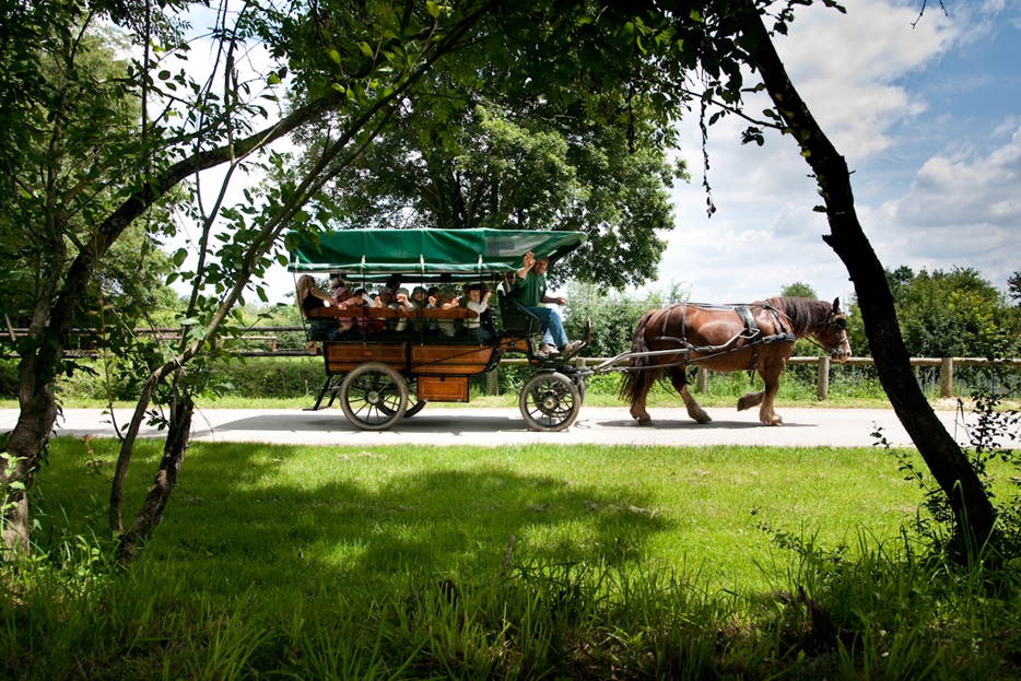 roulottes pole cheval et de l'ane - 1000 lieux du berry © Y Pirot
