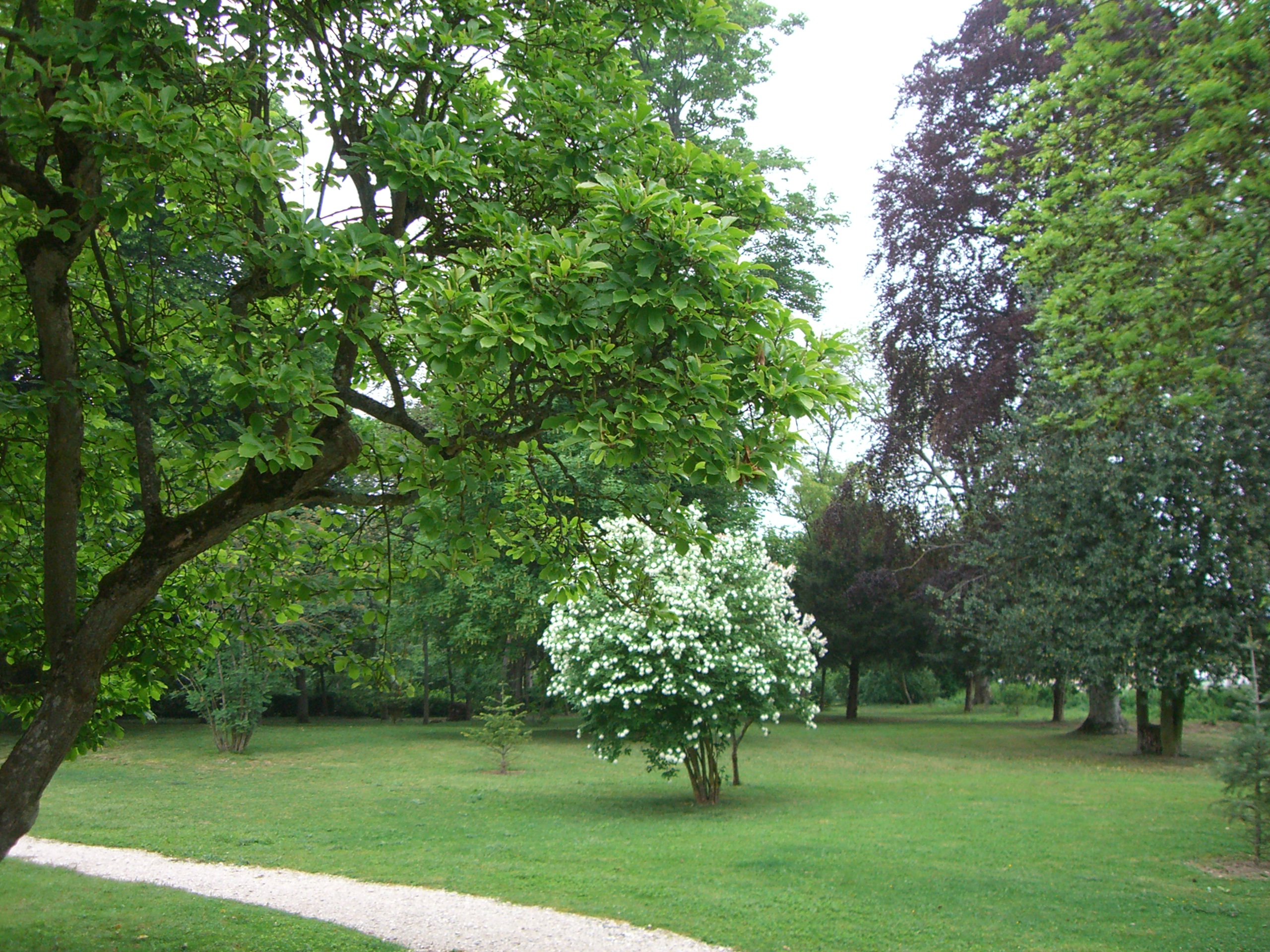 Château de la Cour à Chevilly