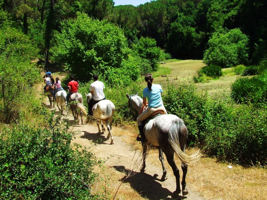 Loire Nature Découverte