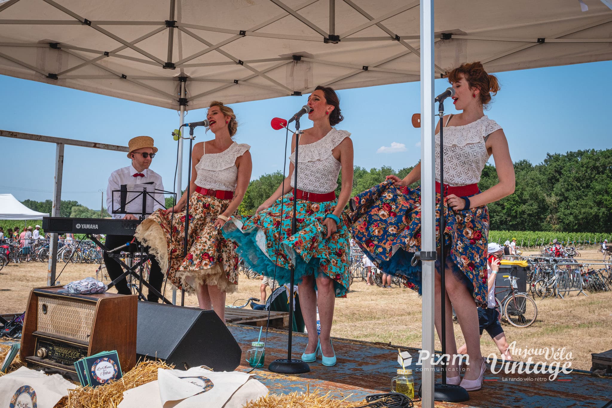 Anjou Velo Vintage