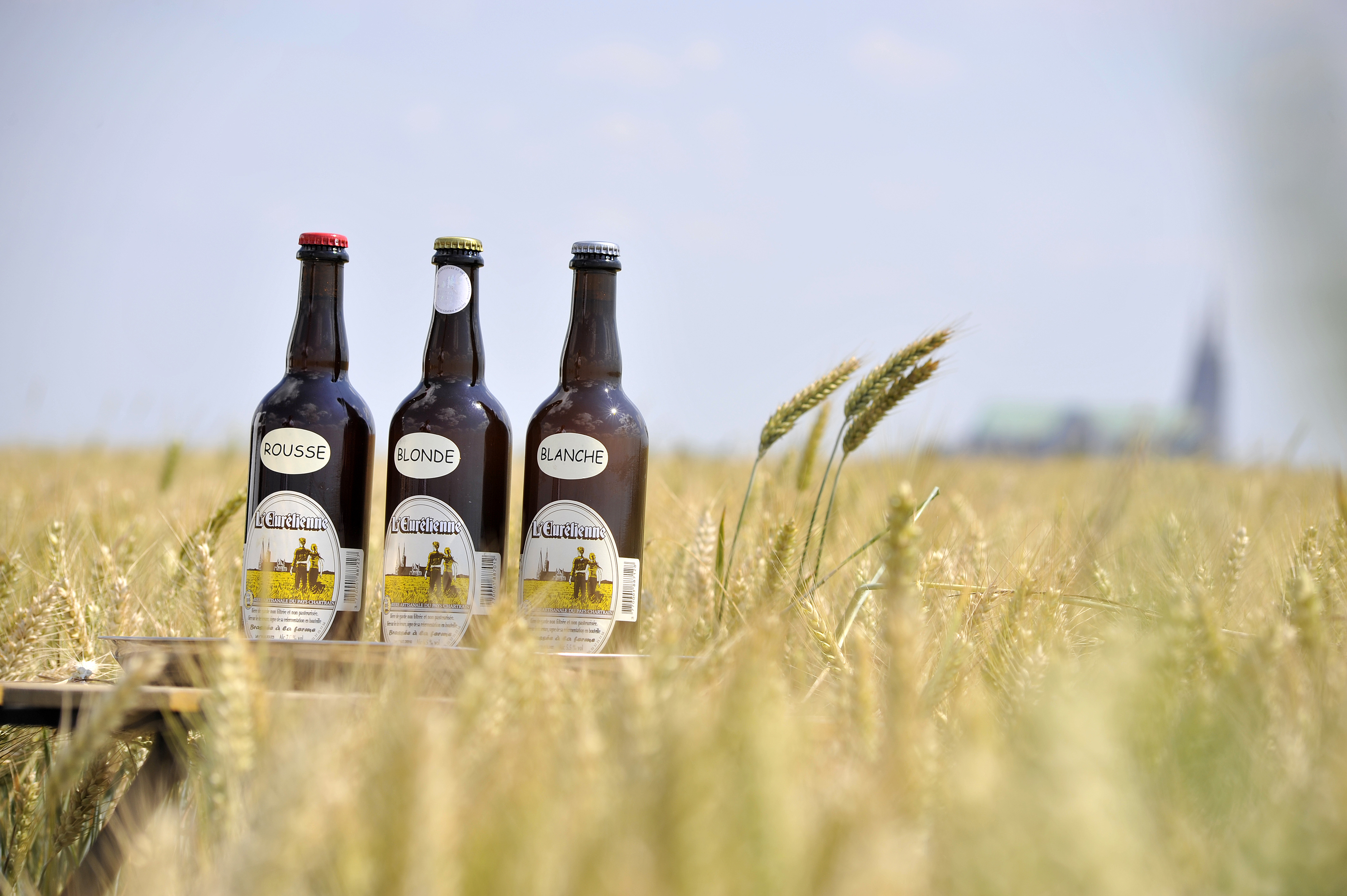 bière eure et loir l'eurélienne