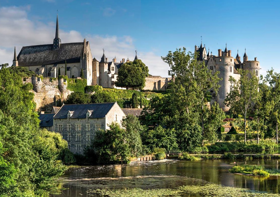 À la découverte des champignons dans les galeries et caves du Maine-et-Loire