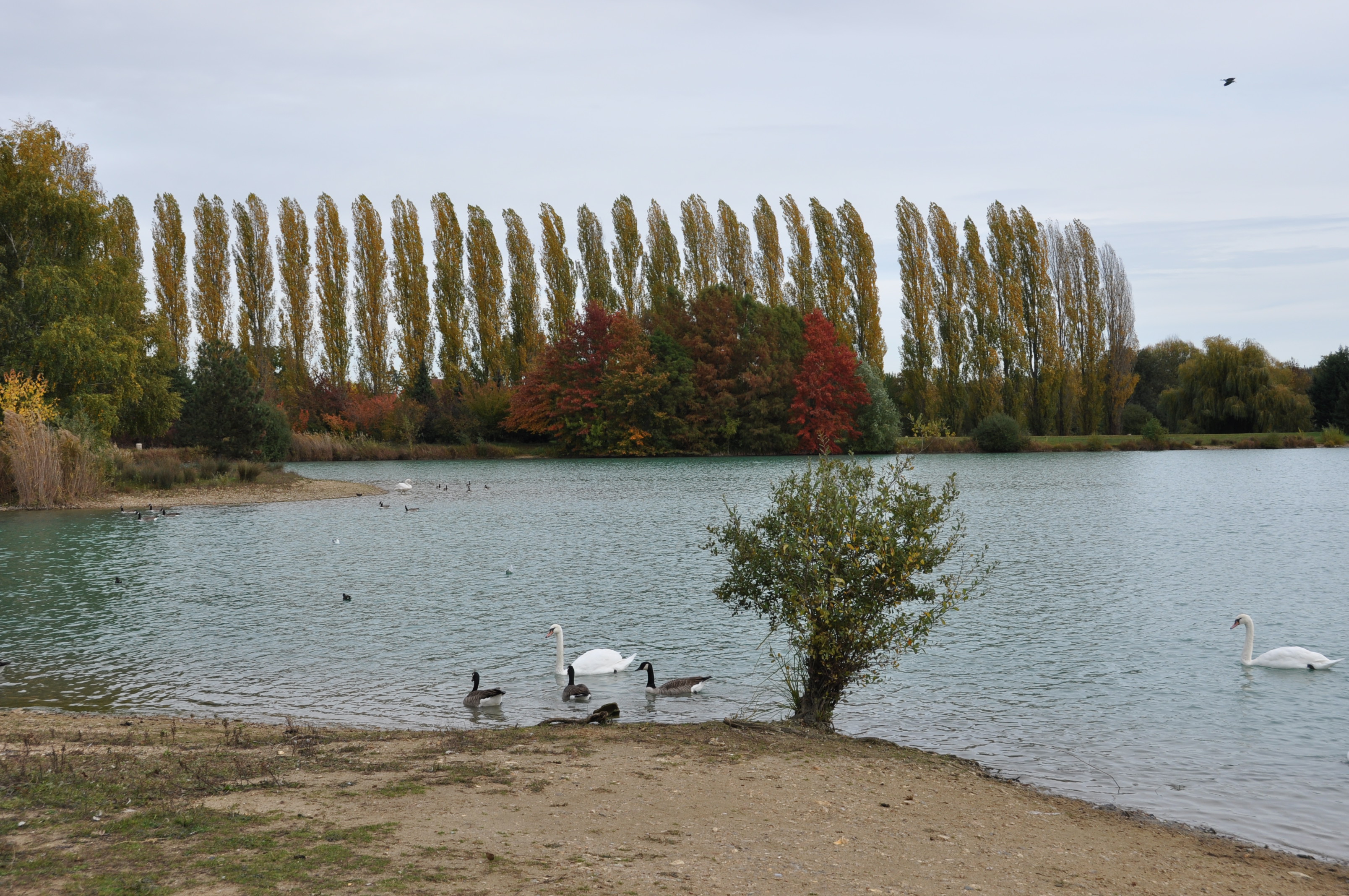 Lac de Châlette-sur-Loing - Sabliere (CC)