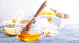 Abeille du Gatinais miel apiculteur
