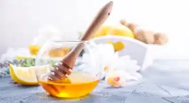 Abeille du Gatinais miel apiculteur