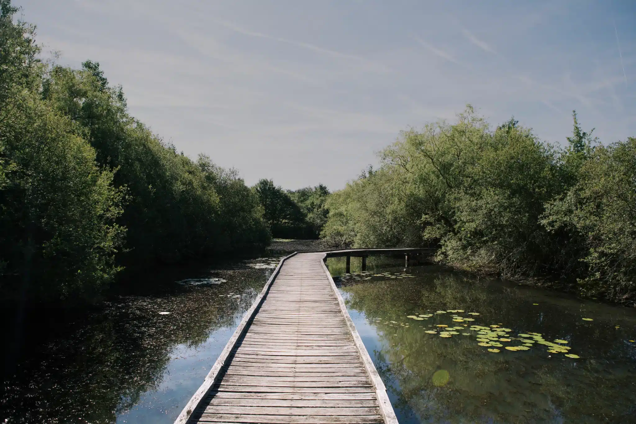 etang de la brenne