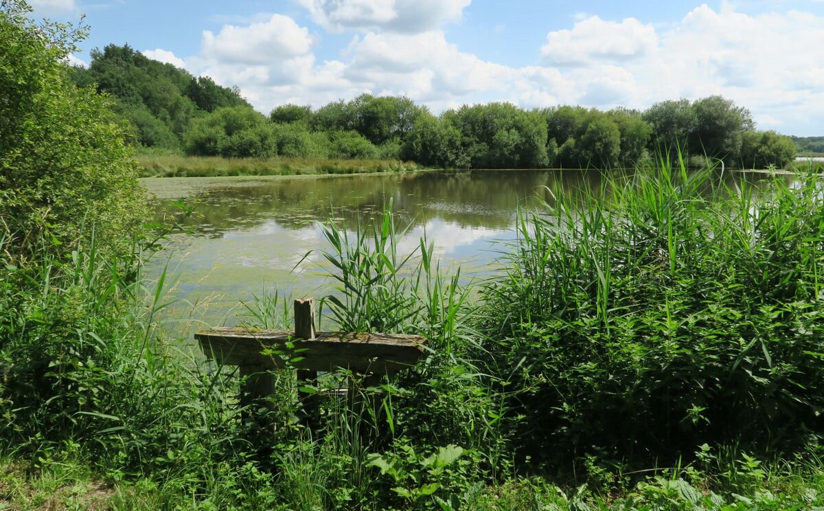 etang-de-sologne-VTreney_CRTCentreValdeLoire