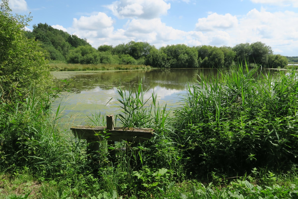 etang-de-sologne-VTreney_CRTCentreValdeLoire